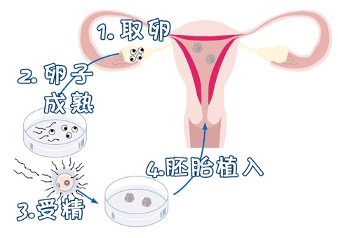 承济医学中心环境
